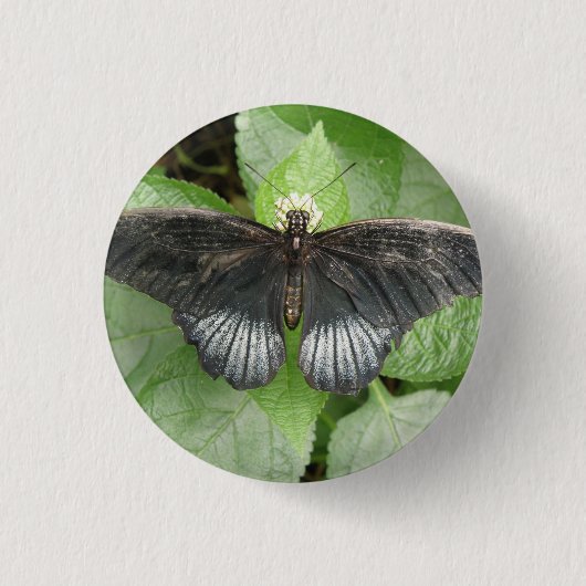 tropische vlinder en bloemen Button (Voorkant)