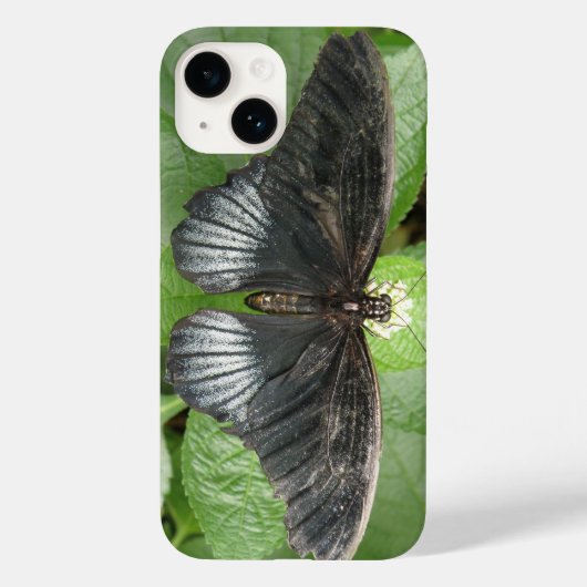 tropische vlinder en bloemen Case-Mate iPhone case (Achterkant)
