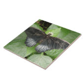 tropische vlinder en bloemen tegel tegeltje (Zijkant)