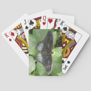 tropische vlinder- en ventilatorkaarten pokerkaarten