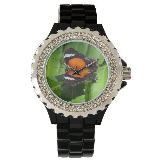 Tropische vlinder horloge (Voorkant)