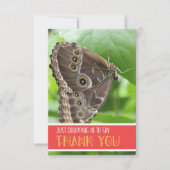 Tropische Vlinder op Blad Natuur Fotografie Flat Bedankkaart (Voorkant)