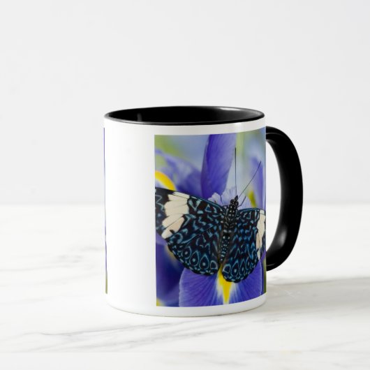 Tropische vlinder Paarse iris Mok (Voorkant rechts)