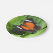 Tropische vlinder papieren bordje (Gekanteld)