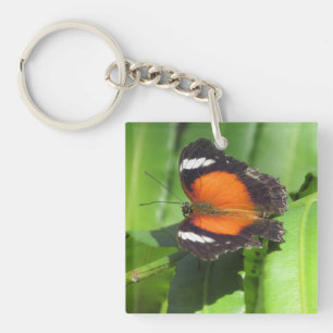 Tropische vlinder sleutelhanger