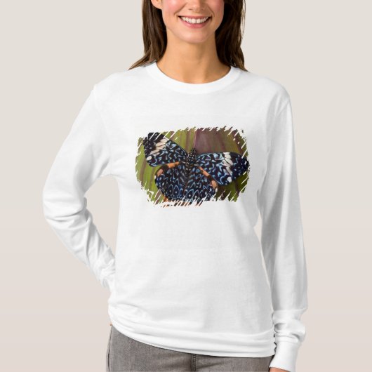 Tropische vlinder t-shirt (Voorkant)