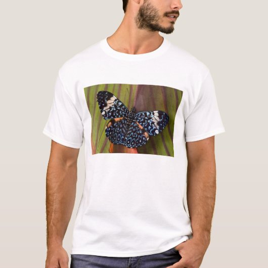 Tropische vlinder t-shirt (Voorkant)