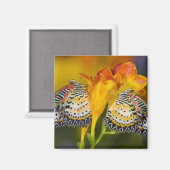 Tropische Vlinder Tweelingen Magneet (Voorkant / Achterkant)