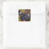 Tropische vlinder vierkante sticker (Tas)