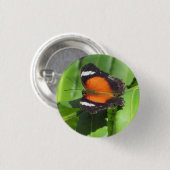 Tropische vlinderbadge ronde button 3,2 cm (Voorkant /achterkant)