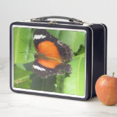 Tropische vlinderbox (In situ)