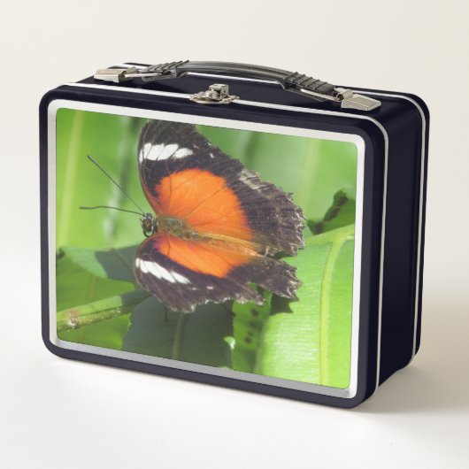 Tropische vlinderbox (Voorkant)