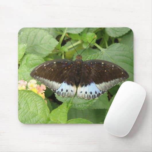 tropische vlindermousepad muismat (Met muis)