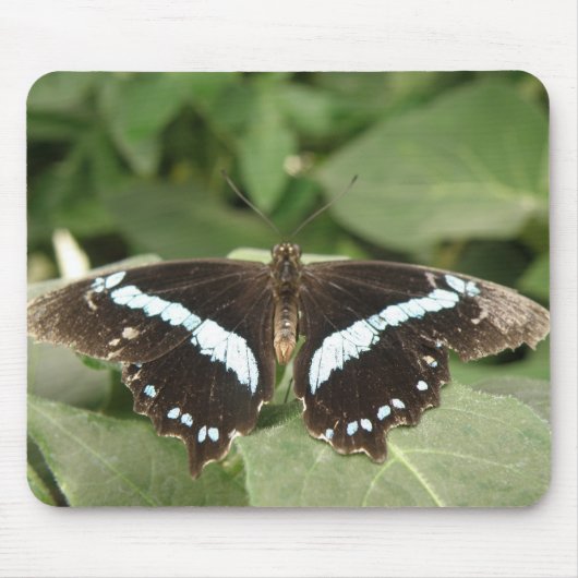 Tropische vlindermousepad zwart-wit muismat (Voorkant)