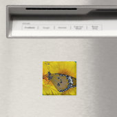 Tropische Vlinders Magneet (Insitu (Vaatwasser))