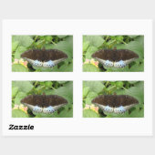 tropische vlinders rechthoekige sticker (Vel)