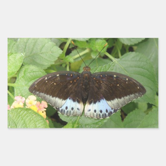 tropische vlinders rechthoekige sticker (Voorkant)