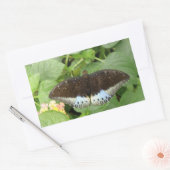 tropische vlinders rechthoekige sticker (Envelop)