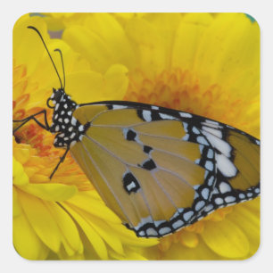 Tropische Vlinders Vierkante Sticker