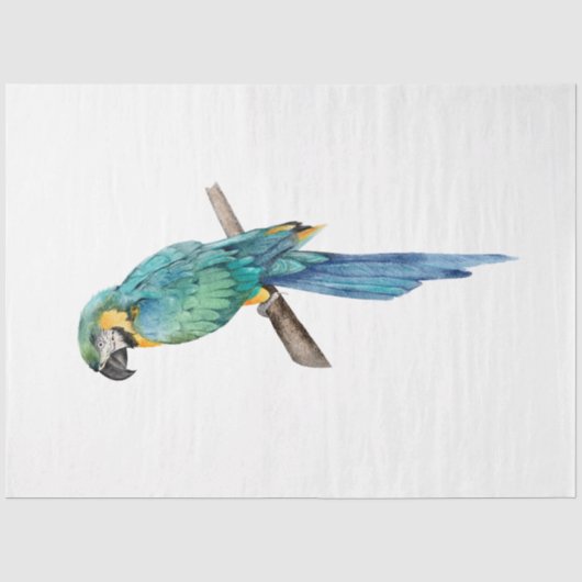 Tropische Vogel Serie : Blauwe Ara Tissuepapier (Voorkant)