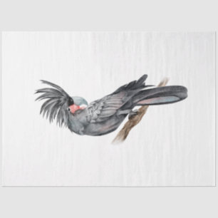 Tropische Vogel Serie : Palmparkiet Tissuepapier