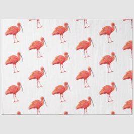 Tropische Vogel Serie : Rode Ibis Ontwerp 2 Tissuepapier