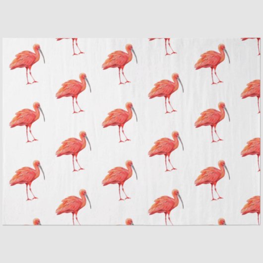 Tropische Vogel Serie : Rode Ibis Ontwerp 2 Tissuepapier (Voorkant)