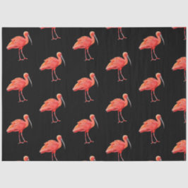 Tropische Vogel Serie : Rode Ibis Ontwerp 3 Tissuepapier