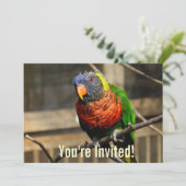 Tropische Vogel Uitnodiging Lorikeet Parkiet (Staand voorkant)