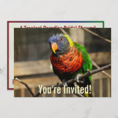 Tropische Vogel Uitnodiging Lorikeet Parkiet (Voorkant / Achterkant)