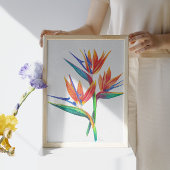 Tropische vogel van de paradijstrek poster