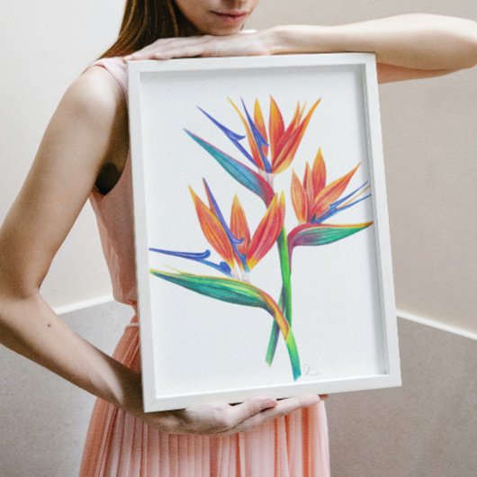 Tropische vogel van de paradijstrek poster