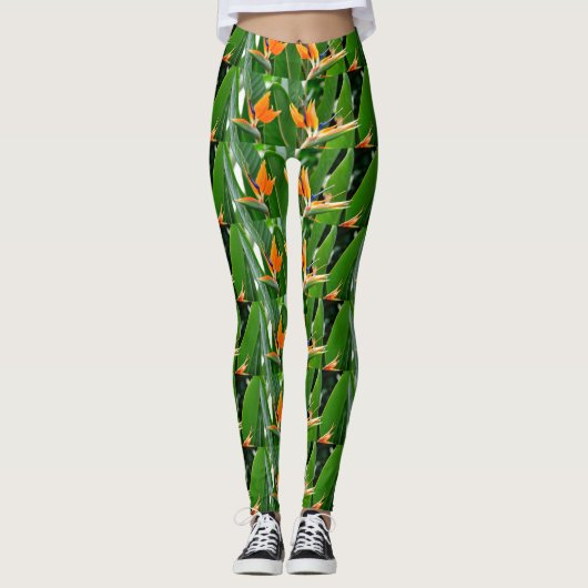 TROPISCHE VOGEL VAN HET PARADIJS LEGGINGS (Voorkant)