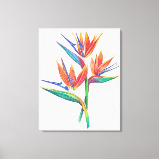 Tropische vogel van het paradijs tekening originel canvas afdruk (Voorkant)