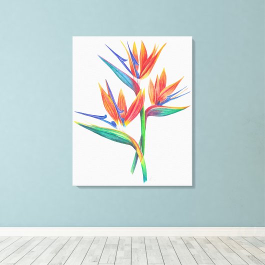 Tropische vogel van het paradijs tekening originel canvas afdruk (Insitu (Houten vloer))