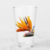 Tropische vogel van het Plant van het Paradijs Glas (Voorkant)
