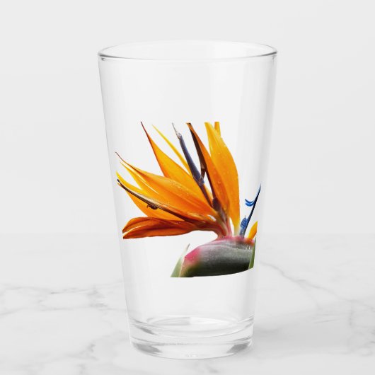 Tropische vogel van het Plant van het Paradijs Glas (Voorkant)