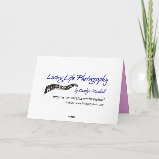 Tropische vogeldagkaart kaart (Achterkant)