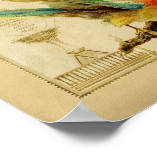 Tropische  vogeldoos poster (Hoek)