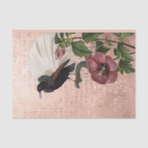 tropische vogelgriep