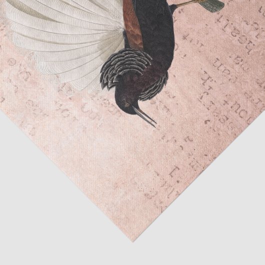  tropische vogelgriep tissuepapier (Detail)