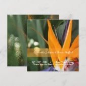 Tropische Vogelparadijs Huwelijksaankondigingen Kaart (Voorkant / Achterkant)