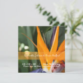 Tropische Vogelparadijs Huwelijksaankondigingen Kaart (Staand voorkant)