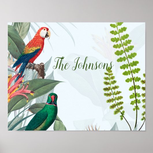 Tropische vogelparrots en olievlekken poster (Voorkant)
