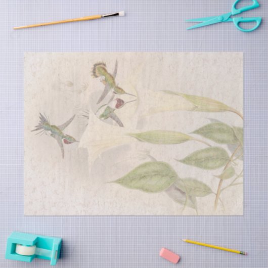 Tropische vogelpest Florenz Tissuepapier (Craft)