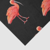 Tropische vogelreeks: Scarlet Ibis Design 3 Tissuepapier (Detail)