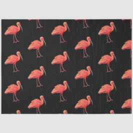 Tropische vogelreeks: Scarlet Ibis Design 3 Tissuepapier