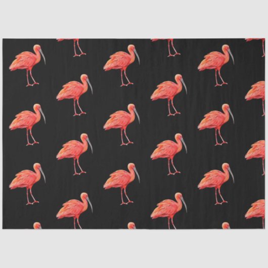 Tropische vogelreeks: Scarlet Ibis Design 3 Tissuepapier (Voorkant)