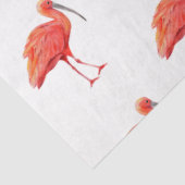 Tropische Vogelreeks: Scharlaken Ibis Design 2 Tissuepapier (Detail)