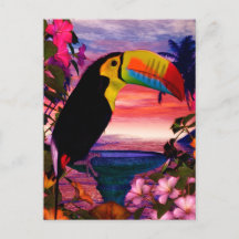 Tropische vogels 2 "Toucans"